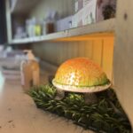 Everywhere you look....there are turtles! Who would've guessed, right?? :)